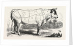 Tax Butchery Paris. Division by Categories of Beef. France by Anonymous