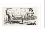 Tax Butchery Paris. Division by Categories of Beef. France by Anonymous
