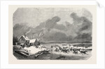 Sweden. Trotting Race on a Lake in Sweden, Engraving 1855 by Anonymous