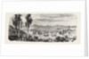 The French Fleet Passing the Bosphorus, Between Scutari and Constantinople (Istanbul), November 12, 1855 by Anonymous