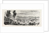 The French Fleet Passing the Bosphorus, Between Scutari and Constantinople (Istanbul), November 12, 1855 by Anonymous