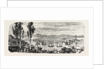 The French Fleet Passing the Bosphorus, Between Scutari and Constantinople (Istanbul), November 12, 1855 by Anonymous