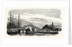 Passage of the Steamer Le Cygne Under the Galata Bridge in Constantinople (Istanbul), 1855 by Anonymous