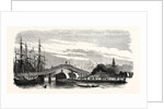 Passage of the Steamer Le Cygne Under the Galata Bridge in Constantinople (Istanbul), 1855 by Anonymous
