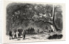 The Kief in the Islands of Princes, 1855 by Anonymous