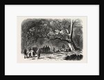 The Kief in the Islands of Princes, 1855 by Anonymous