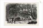 The Kief in the Islands of Princes, 1855 by Anonymous