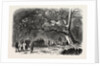 The Kief in the Islands of Princes, 1855 by Anonymous