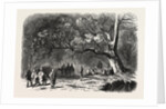The Kief in the Islands of Princes, 1855 by Anonymous
