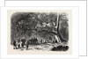 The Kief in the Islands of Princes, 1855 by Anonymous