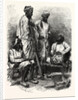 Jat Zemindars (Crown Lessees) and Ryots (Peasants) by Anonymous