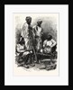 Jat Zemindars (Crown Lessees) and Ryots (Peasants) by Anonymous