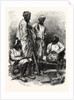 Jat Zemindars (Crown Lessees) and Ryots (Peasants) by Anonymous
