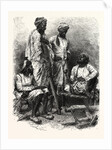 Jat Zemindars (Crown Lessees) and Ryots (Peasants) by Anonymous