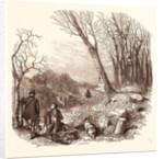 Rabbit Shooting, Rabbits by Anonymous