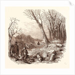 Rabbit Shooting, Rabbits by Anonymous