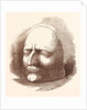Posthumous Mask of Sir Isaac Newton by Anonymous
