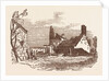 Remains of Shelton Hall by Anonymous