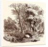 Otter Hunting, Wildlife, River by Anonymous