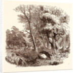 Otter Hunting, Wildlife, River by Anonymous