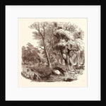 Otter Hunting, Wildlife, River by Anonymous