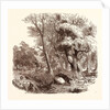 Otter Hunting, Wildlife, River by Anonymous