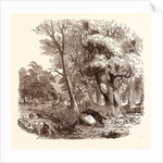 Otter Hunting, Wildlife, River by Anonymous