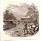 Angling, Fishing, Water, Fish, Fisherman, Bait, River, Angler, Man, Fisher by Anonymous