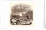 Grouse Shooting in August by Anonymous