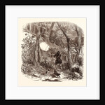 Pheasant Shooting in October by Anonymous