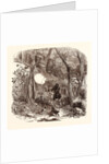 Pheasant Shooting in October by Anonymous