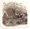 Fox Hunting in November by Anonymous