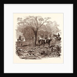 Fox Hunting in November by Anonymous