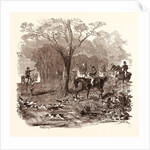 Fox Hunting in November by Anonymous