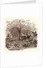Fox Hunting in November by Anonymous