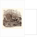 Fox Hunting in November by Anonymous