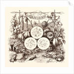 January by Anonymous