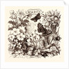 March by Anonymous