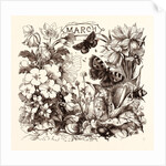 March by Anonymous