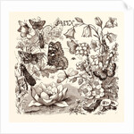 July by Anonymous