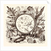 November by Anonymous