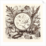 November by Anonymous