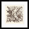 December by Anonymous