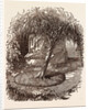 Garden at Waterloo, the Burial Place of the Marquis of Anglesey's Leg by Anonymous