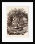 Garden at Waterloo, the Burial Place of the Marquis of Anglesey's Leg by Anonymous