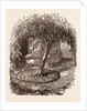 Garden at Waterloo, the Burial Place of the Marquis of Anglesey's Leg by Anonymous
