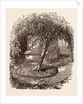Garden at Waterloo, the Burial Place of the Marquis of Anglesey's Leg by Anonymous