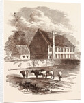 Birth Place of the Great Duke of Marlborough, Ashe, Devon by Anonymous
