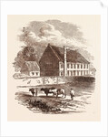 Birth Place of the Great Duke of Marlborough, Ashe, Devon by Anonymous