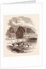 Birth Place of the Great Duke of Marlborough, Ashe, Devon by Anonymous